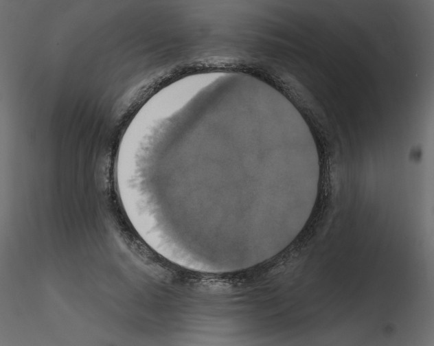 X0000115670640200912241420