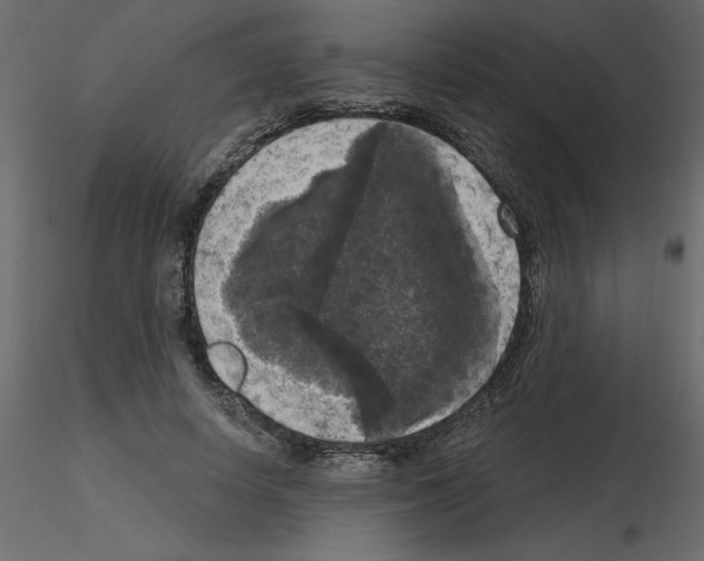 X0000115670642200912241420