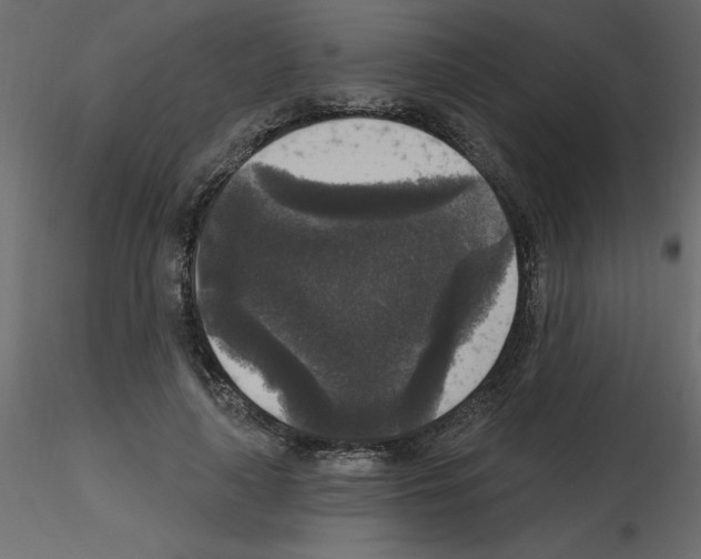 X0000115670643200912241420