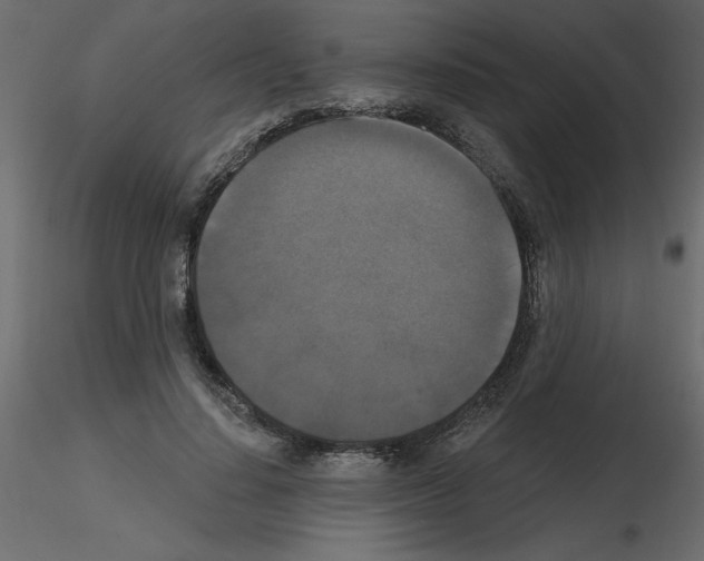 X0000115670644200912241420