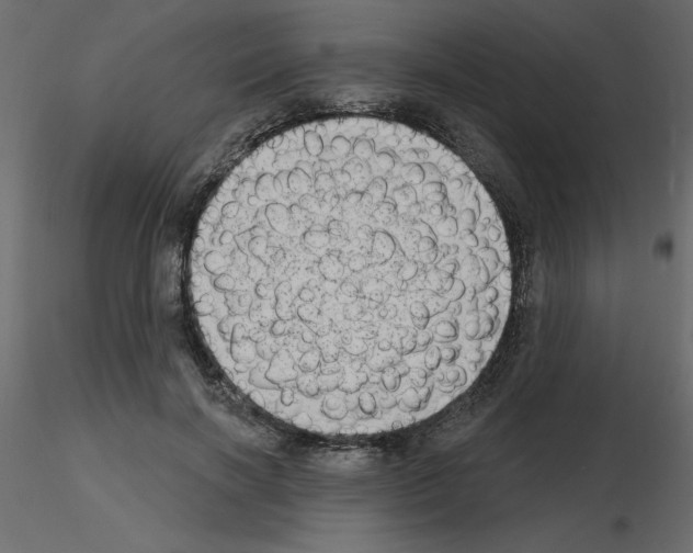 X0000115670646200912241420