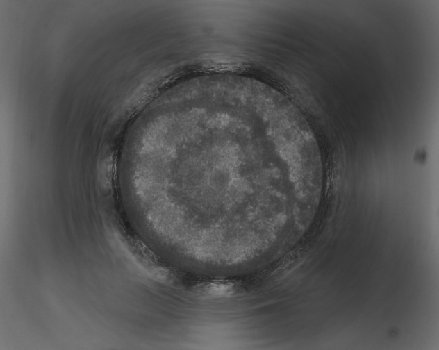 X0000115670647200912241420