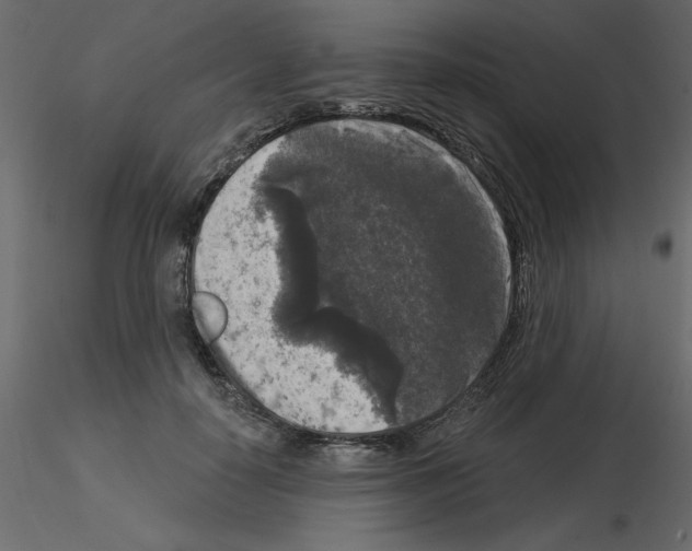 X0000115670650200912241420