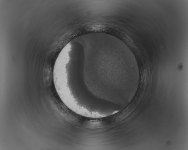 X0000115670651200912241421