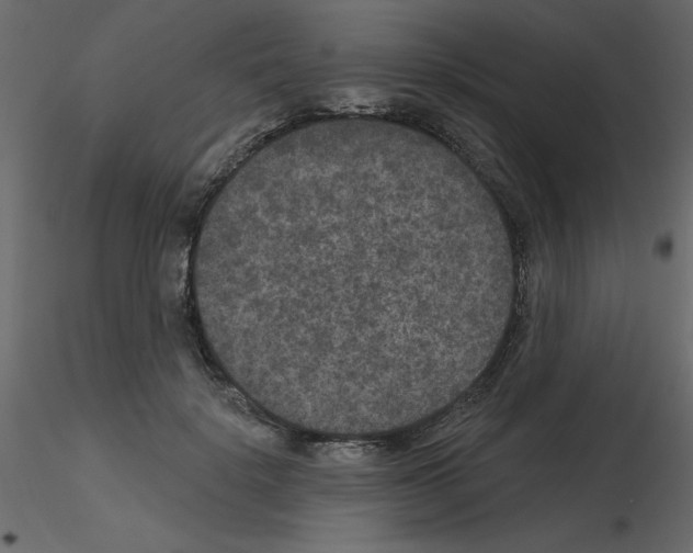 X0000115670652200912241421