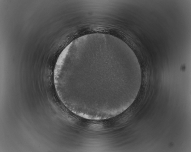 X0000115670653200912241421