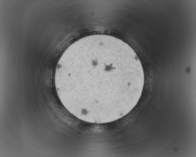 X0000115670656200912241421