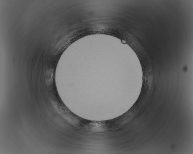 X0000115670660200912241421