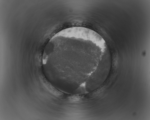 X0000115670661200912241421