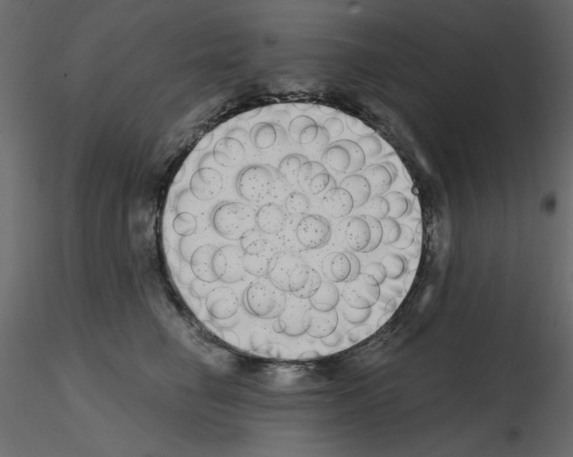 X0000115670662200912241421