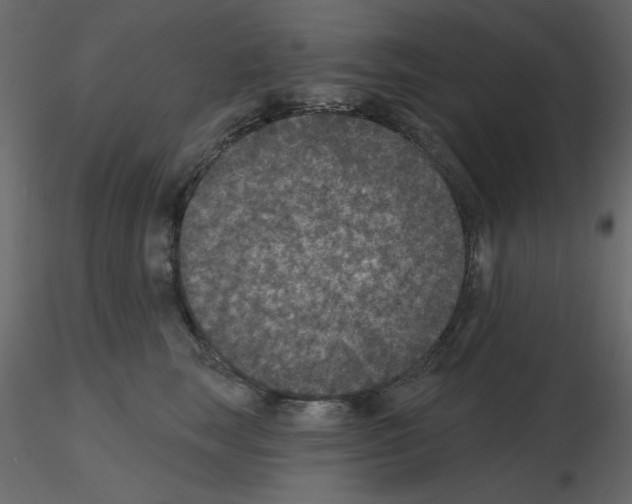 X0000115670663200912241421