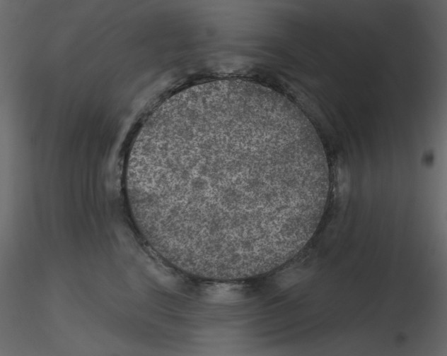 X0000115670664200912241421