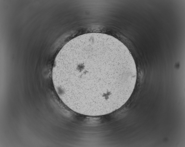 X0000115670665200912241421