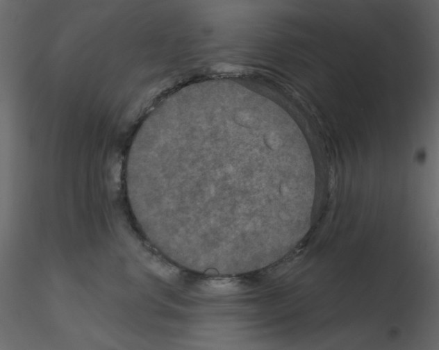 X0000115670668200912241421