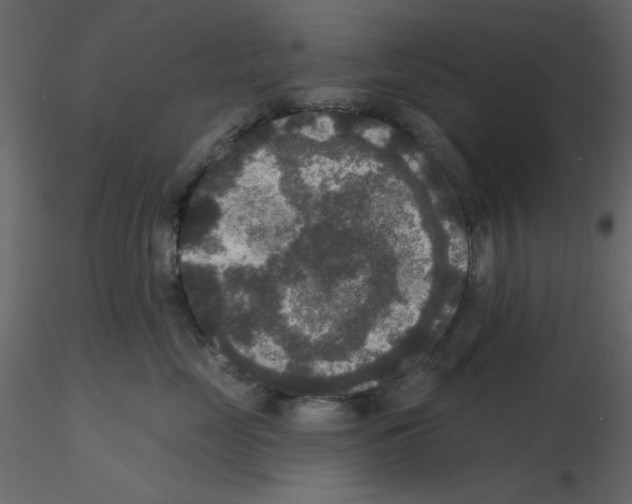 X0000115670669200912241421