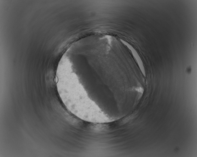 X0000115670670200912241421