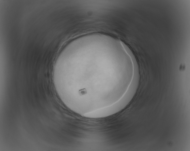 X0000115670672200912241421