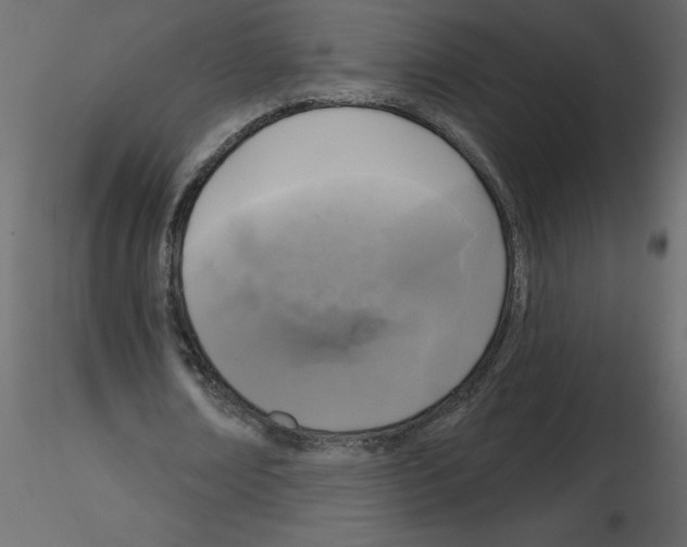 X0000115670674200912241420