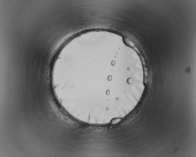 X0000115670676200912241420