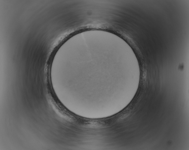 X0000115670678200912241420