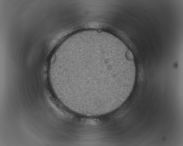 X0000115670683200912241420