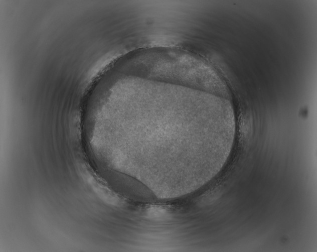 X0000115670684200912241420