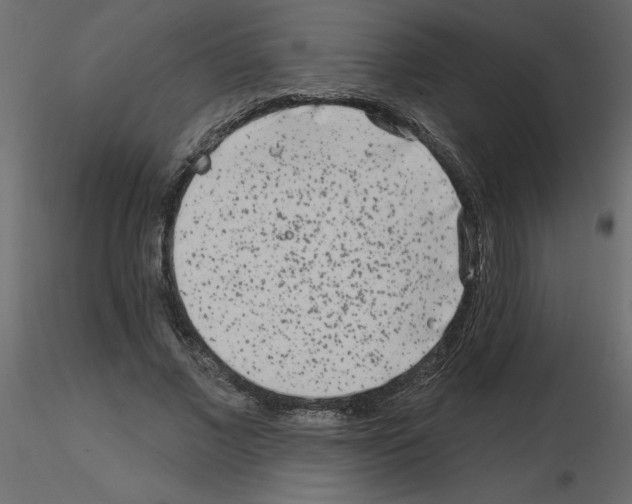 X0000115670685200912241420