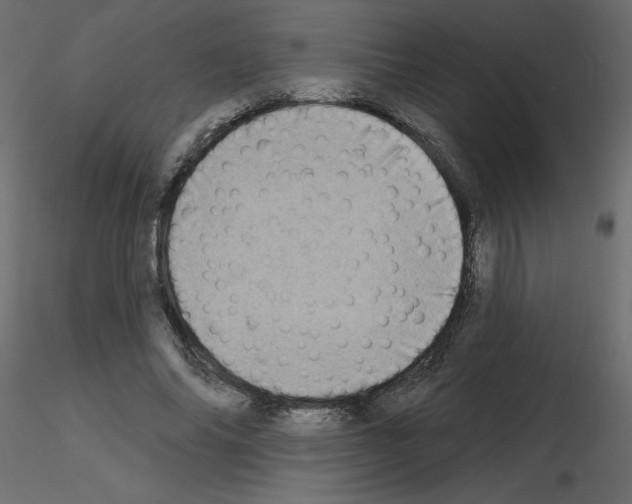 X0000115670686200912241420