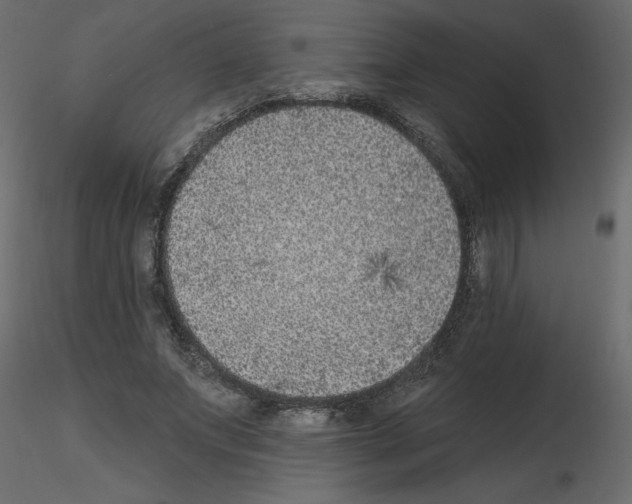 X0000115670687200912241420