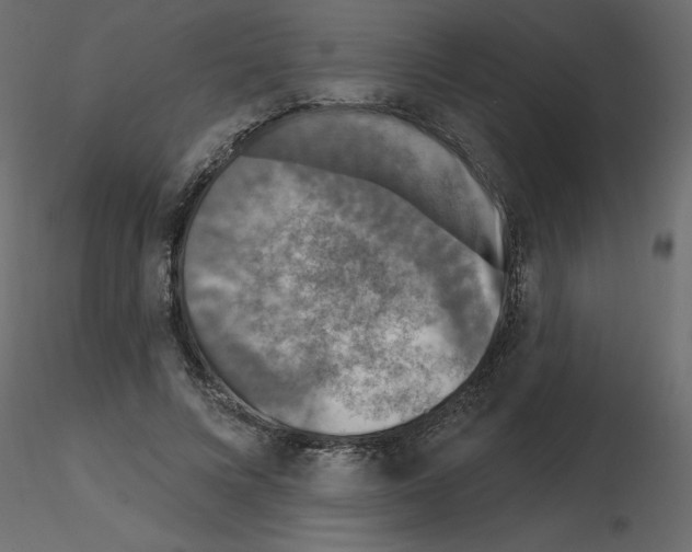 X0000115670688200912241420