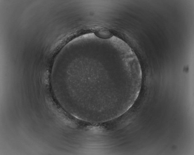 X0000115670689200912241420