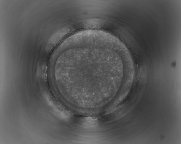 X0000115670692200912241420