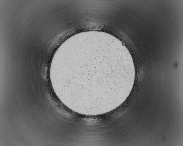 X0000115670693200912241420