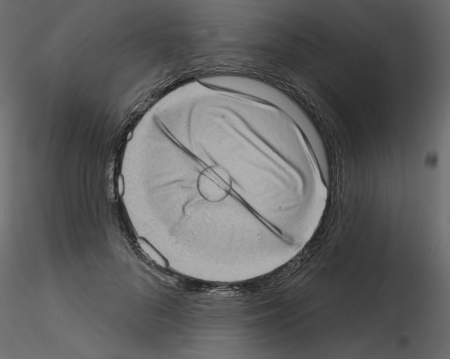 X0000115670696200912241420