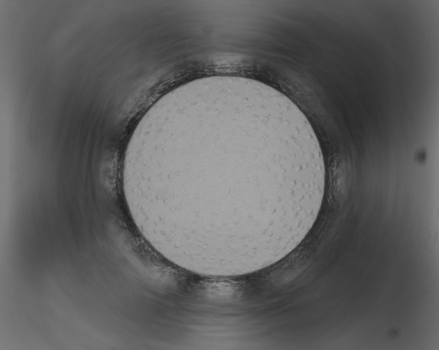 X0000115670698200912241420