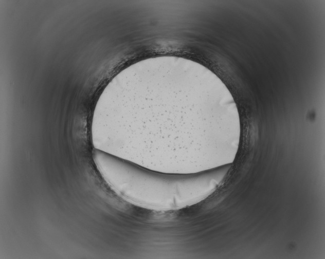 X0000115670700200912241420