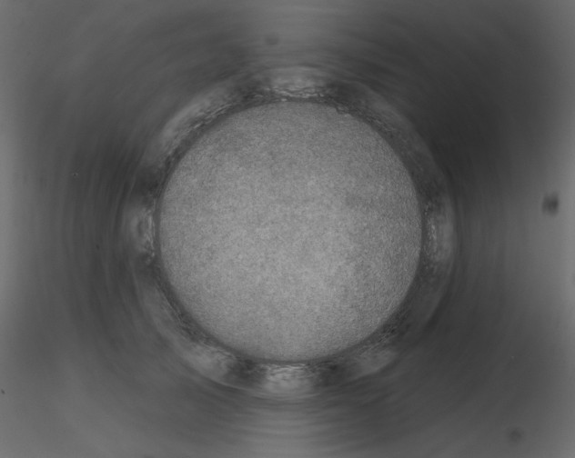 X0000115670705200912241420