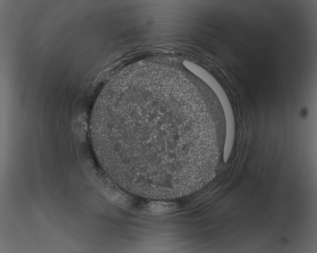 X0000115670707200912241420