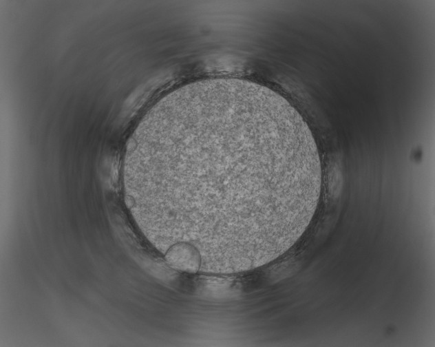 X0000115670709200912241420