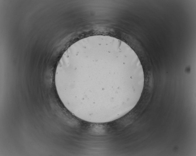 X0000115670710200912241420