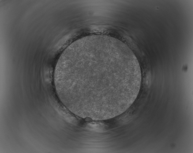 X0000115670712200912241420