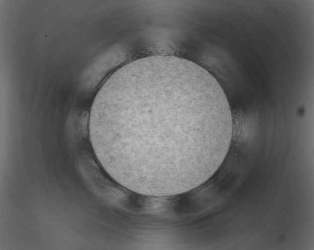 X0000115670717200912241420