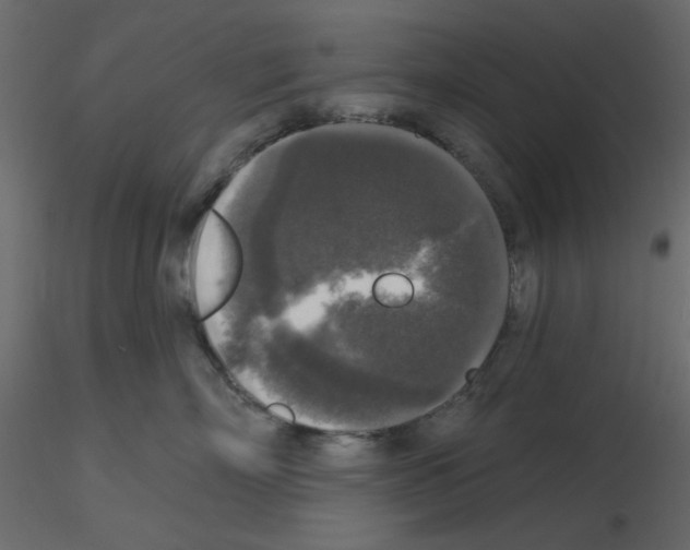 X0000115670718200912241420