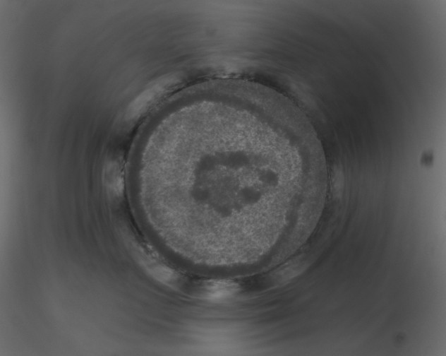 X0000115670719200912241420