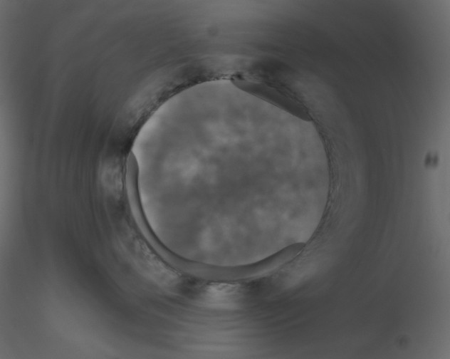 X0000115670720200912241420