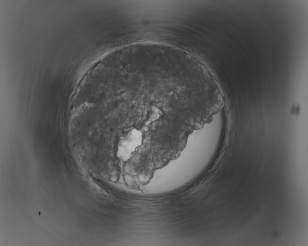 X0000115670721200912241419