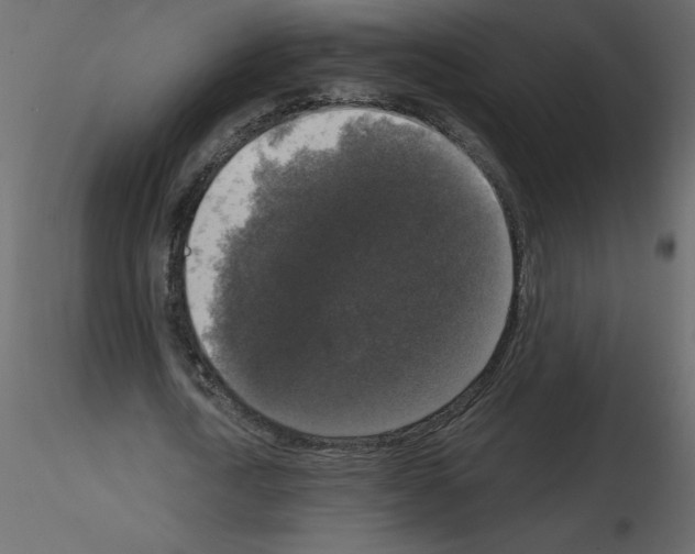 X0000115670722200912241419