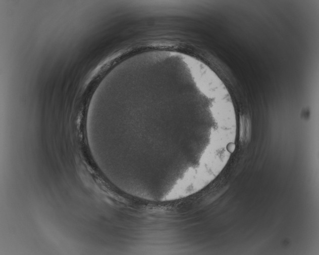 X0000115670723200912241419