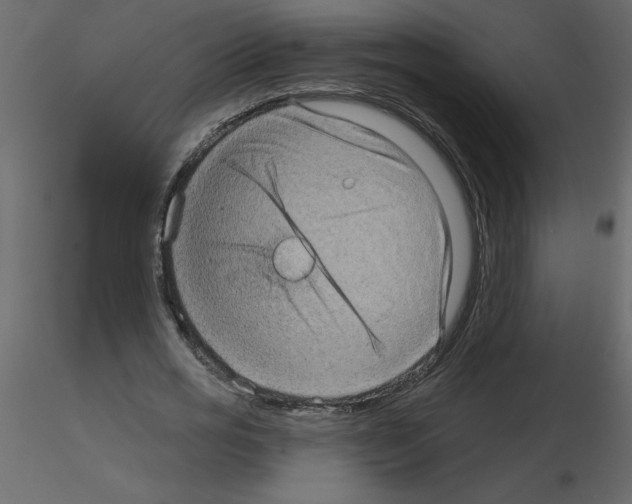 X0000115670725200912241419