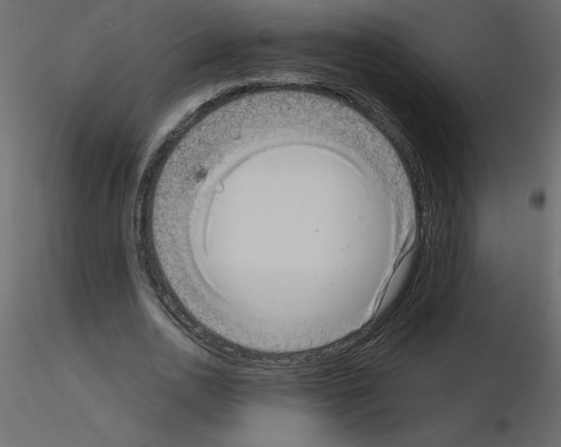 X0000115670726200912241419